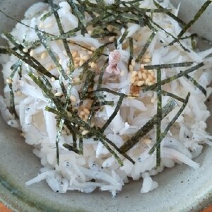 大好き!しらす丼